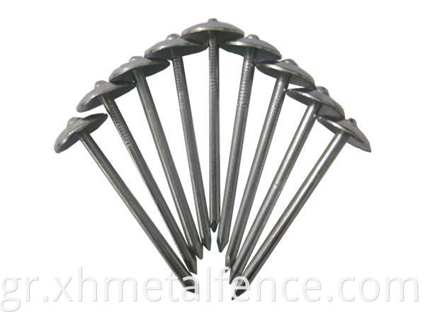 Perfect Durability Iron Nail Roofing Nail